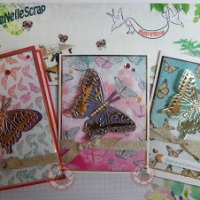 Carte Pop Up : Une envolée de papillons
